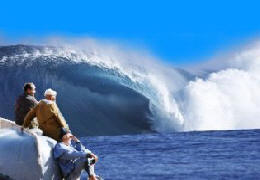 surf spot: surf house, surf shop, surf school