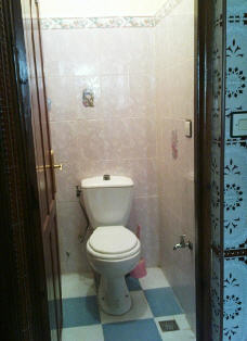 toilet and douche