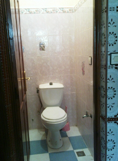 toilet and douche