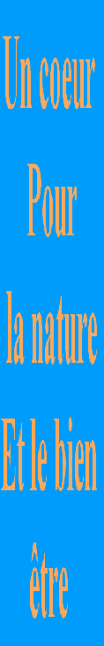 wpf408f887.png