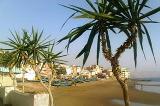 aftas taghazout : plage au port de taghazout 